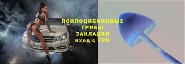 каннабис Лабытнанги