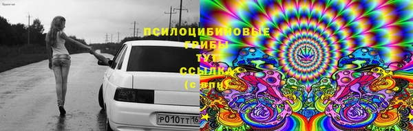 каннабис Лабытнанги