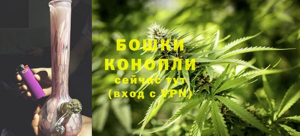 стаф Ладушкин