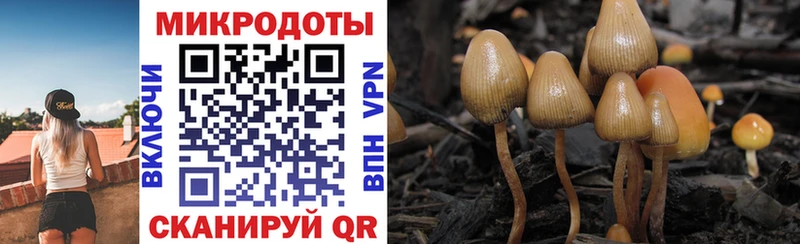 Галлюциногенные грибы Cubensis  Купить  Слюдянка 